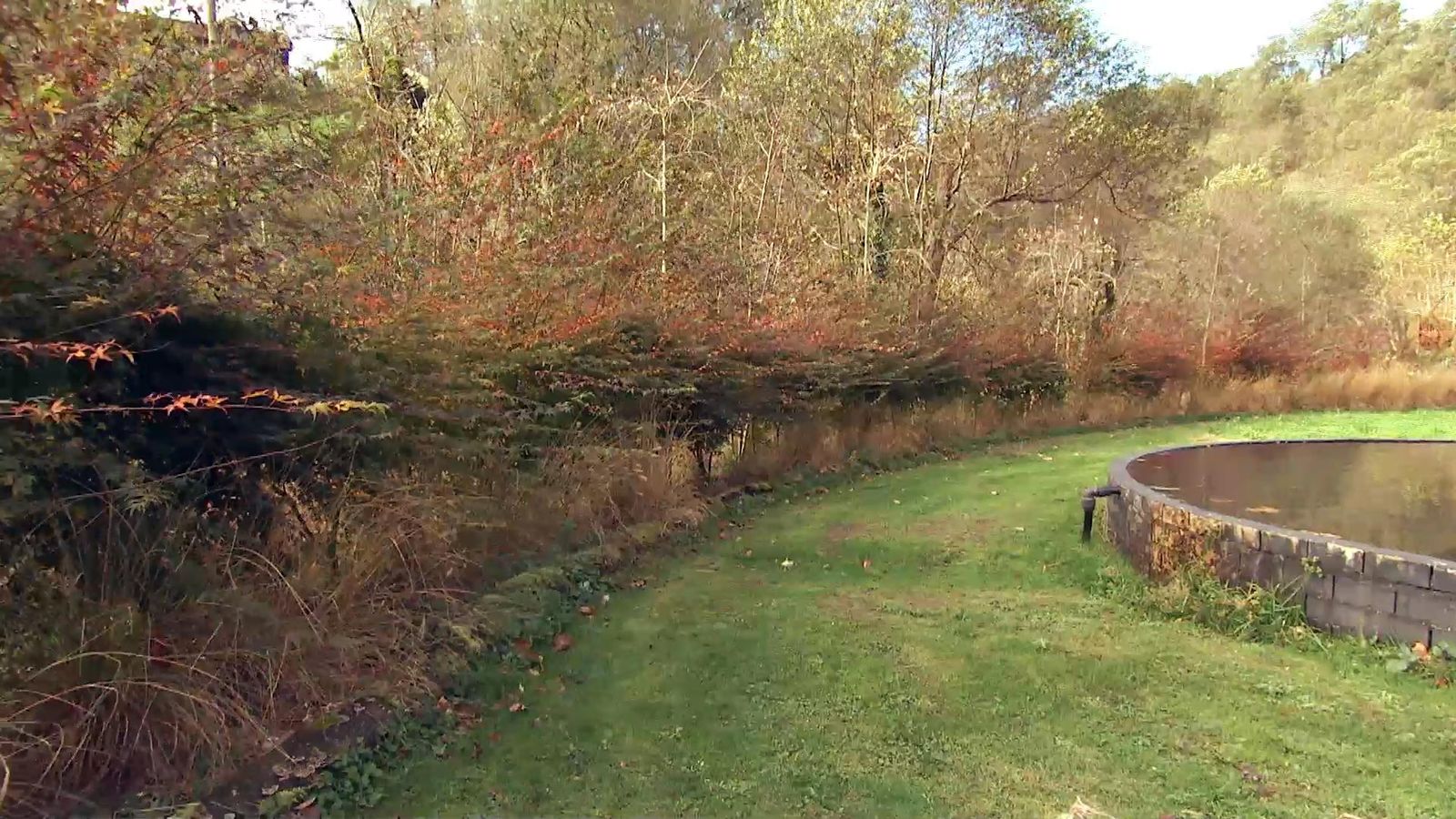 deco718 seto arces japoneses xl