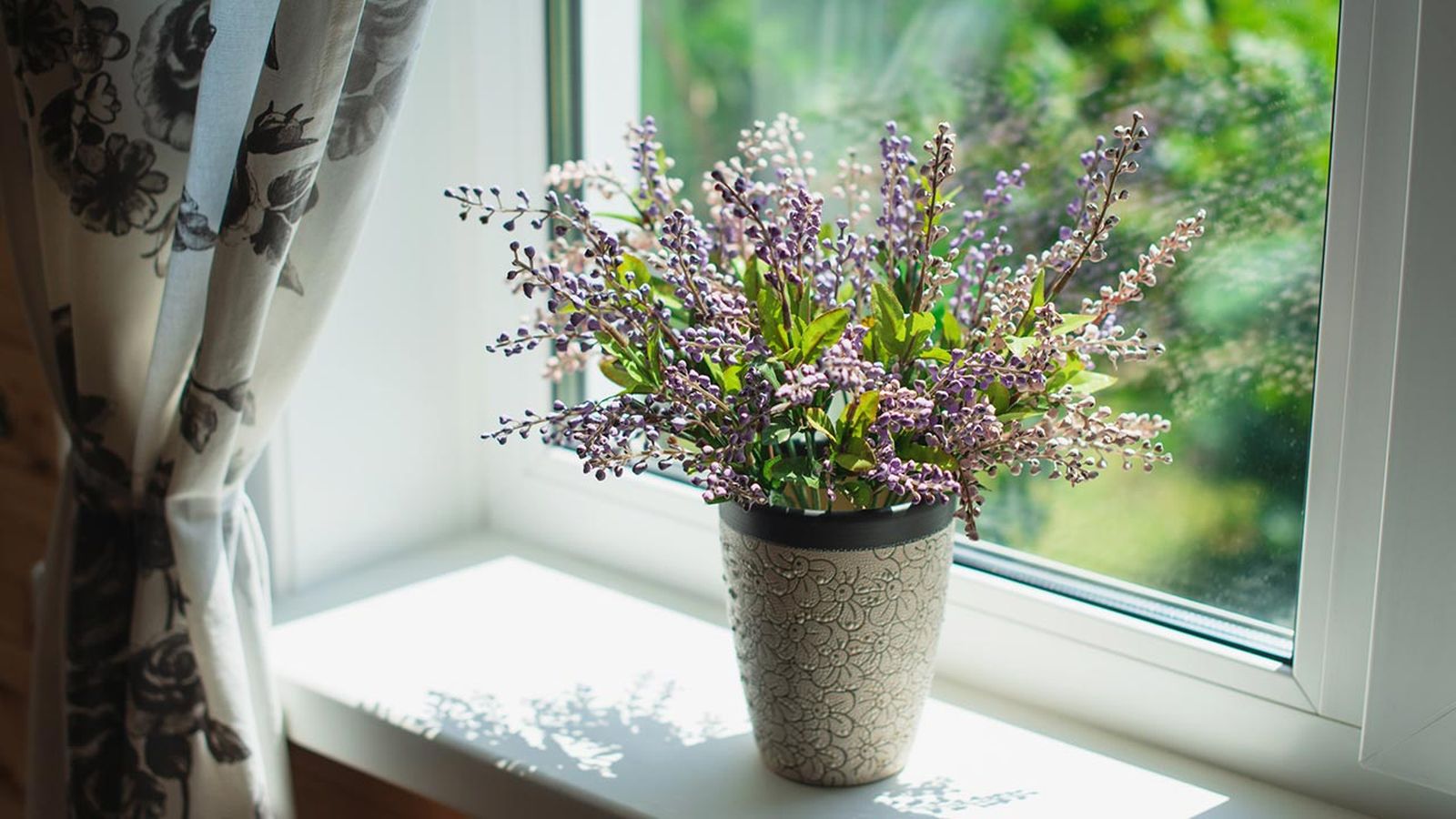 plantas que repelen insectos casa