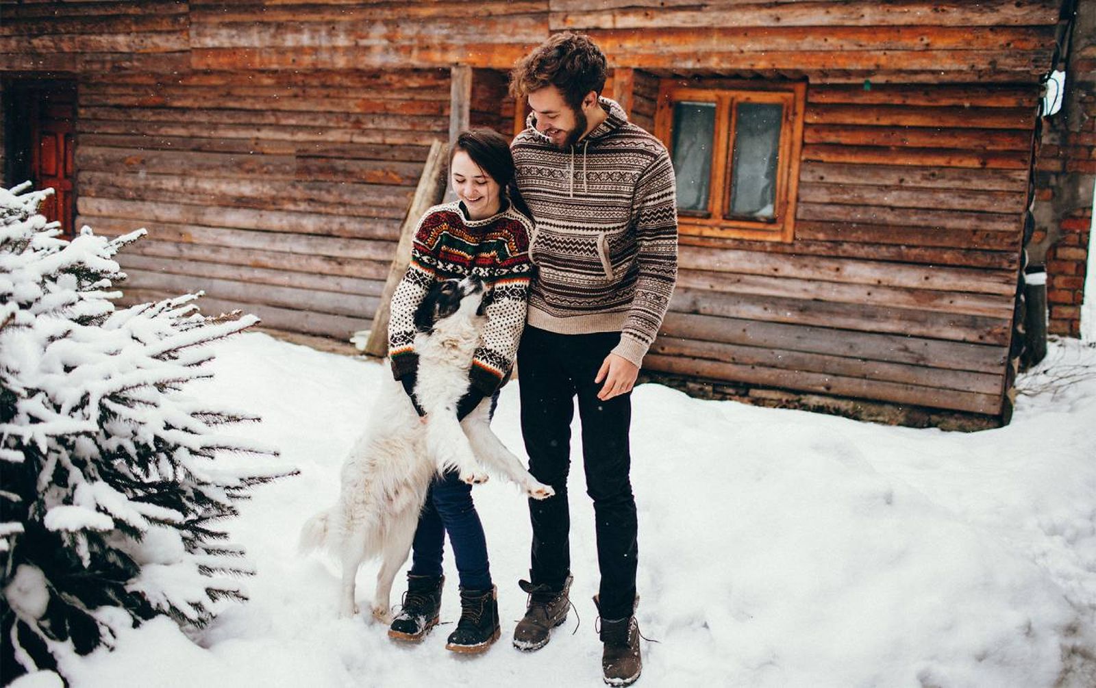 5 razones para irte de casa rural con tu perro en Nochevieja