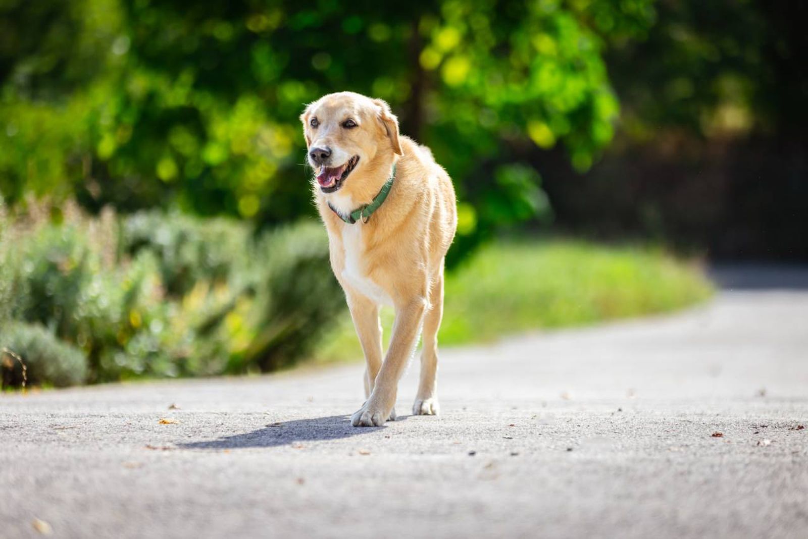 Es importante saber cómo actuar de manera efectiva y rápida para minimizar las consecuencias.