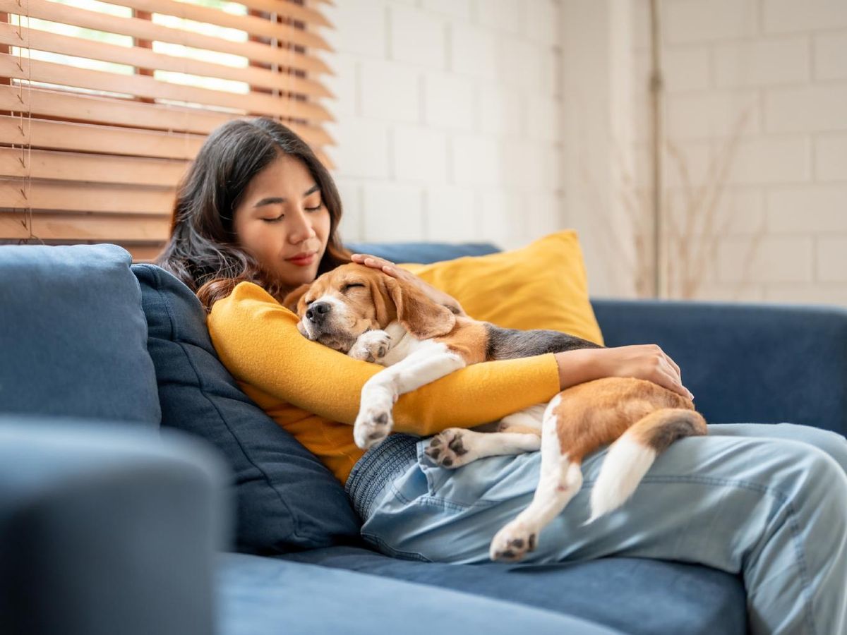 Mujer relajada con un perrito en el sofá.