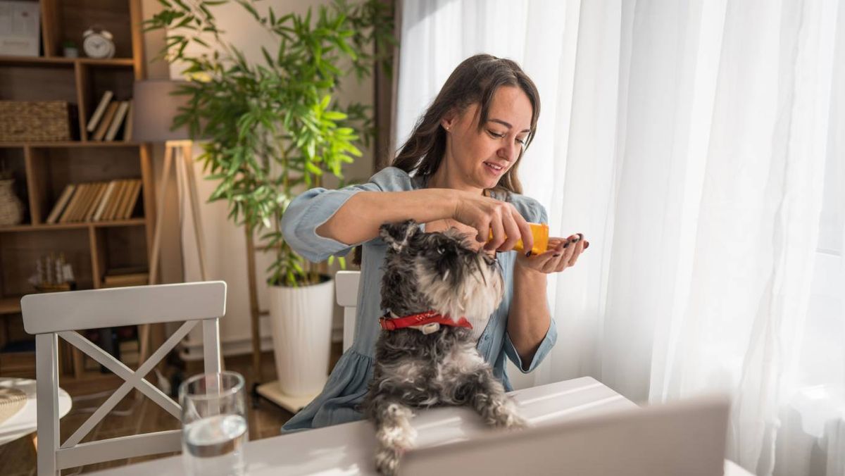 Siempre consulta con un veterinario antes de incorporar suplementos a la dieta de tu mascota.