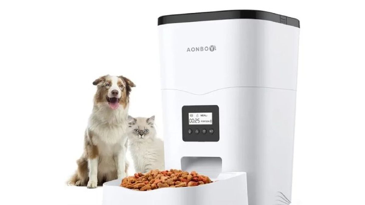 comedero para perros modelo 5