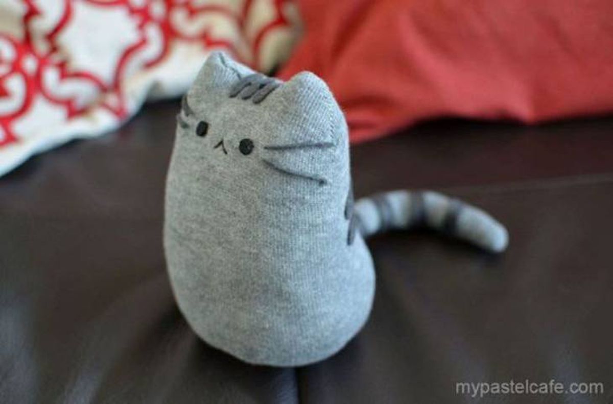 gatito con calcetin pinterest