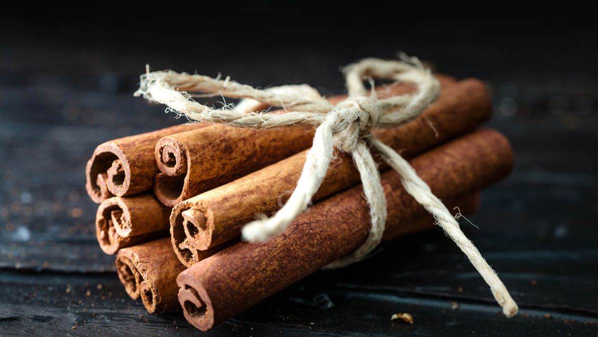 canela repelente insectos