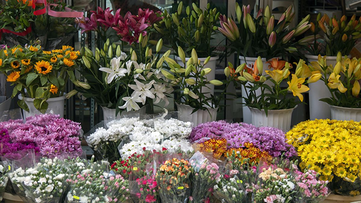 flores para regalar en el dia de la madre