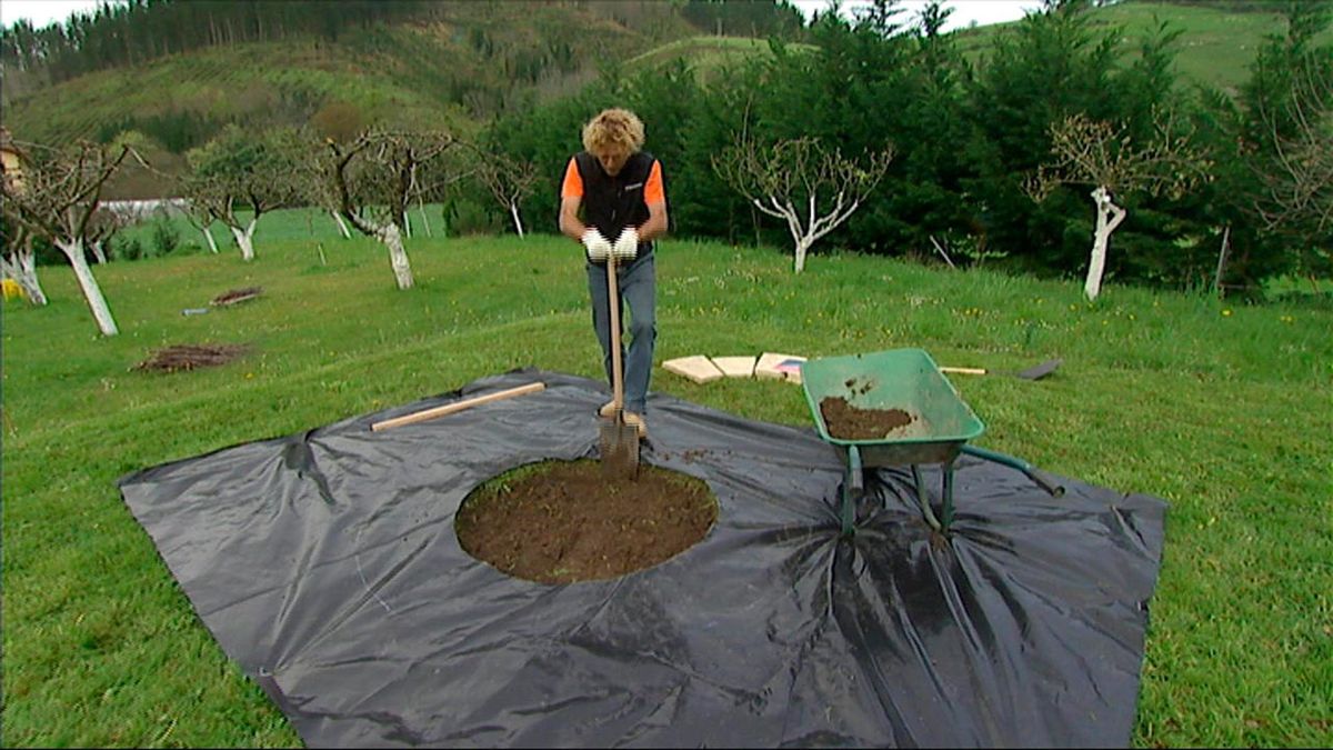 Barbacoa circular paso 2