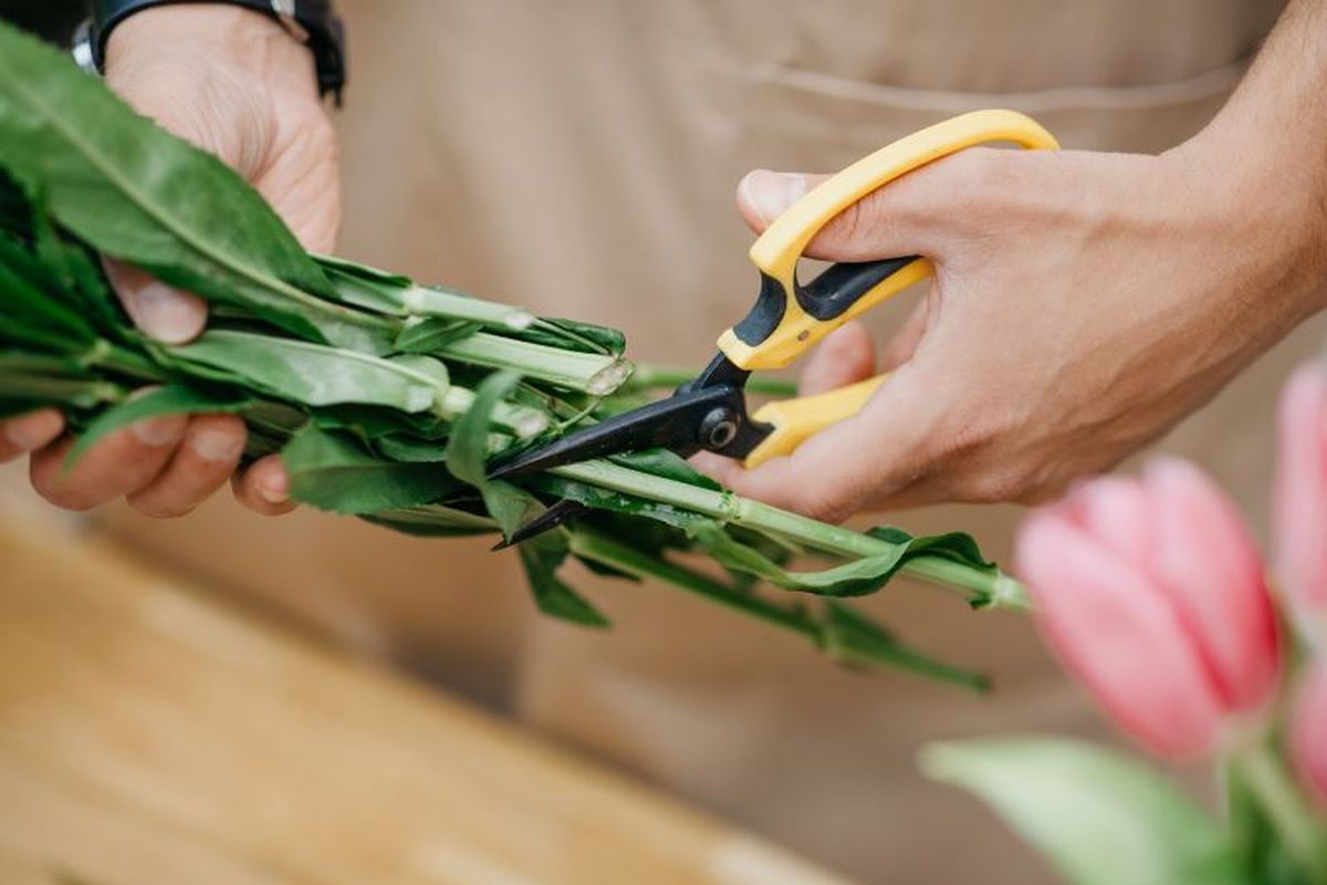 Corta los tallos en diagonal