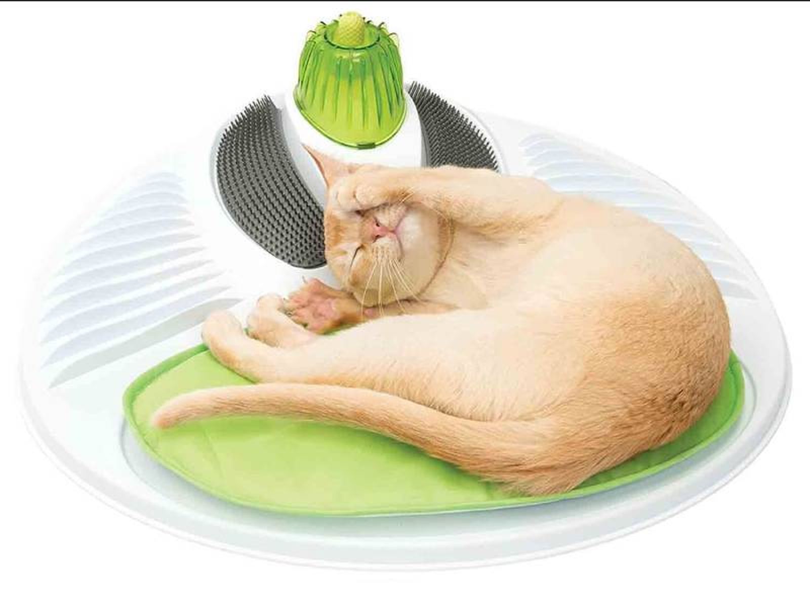 Centro de bienestar para gatos Catit en Lidl.
