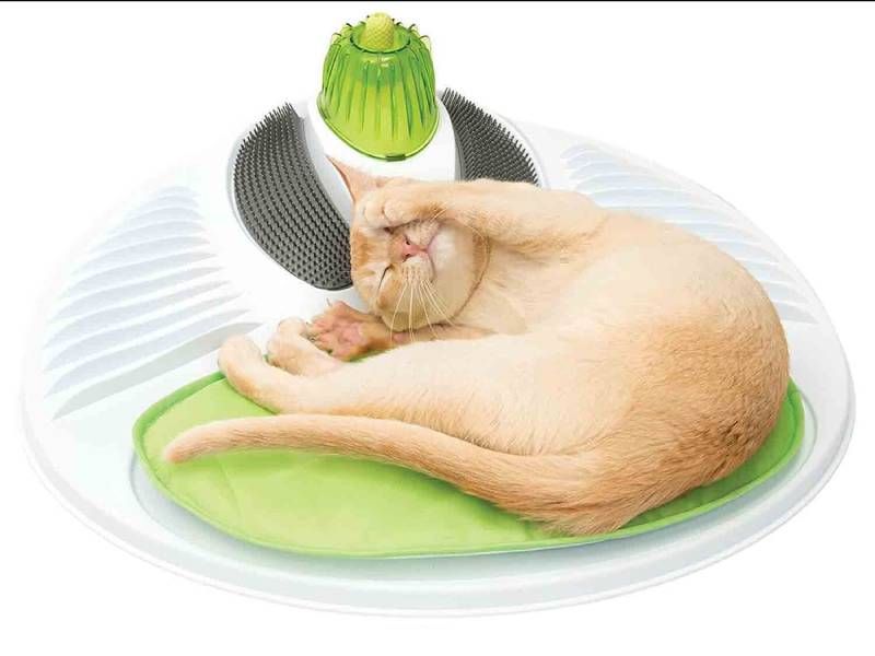 Centro de bienestar para gatos Catit en Lidl.
