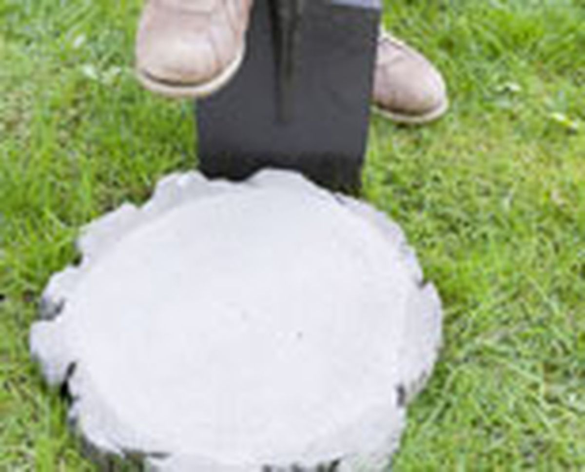 558 paso japones p03