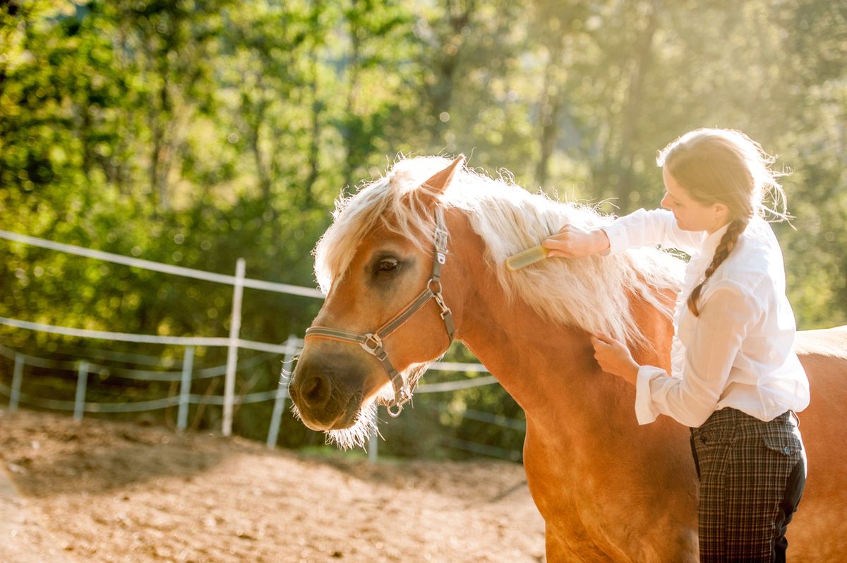 caballo terapia invidentes2