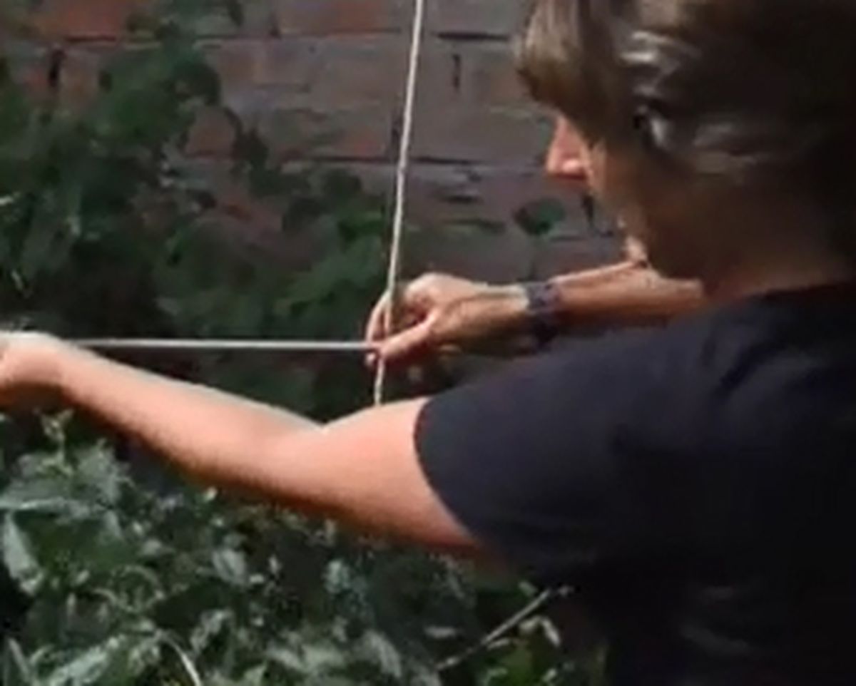 Entutorar tomatera   paso 2