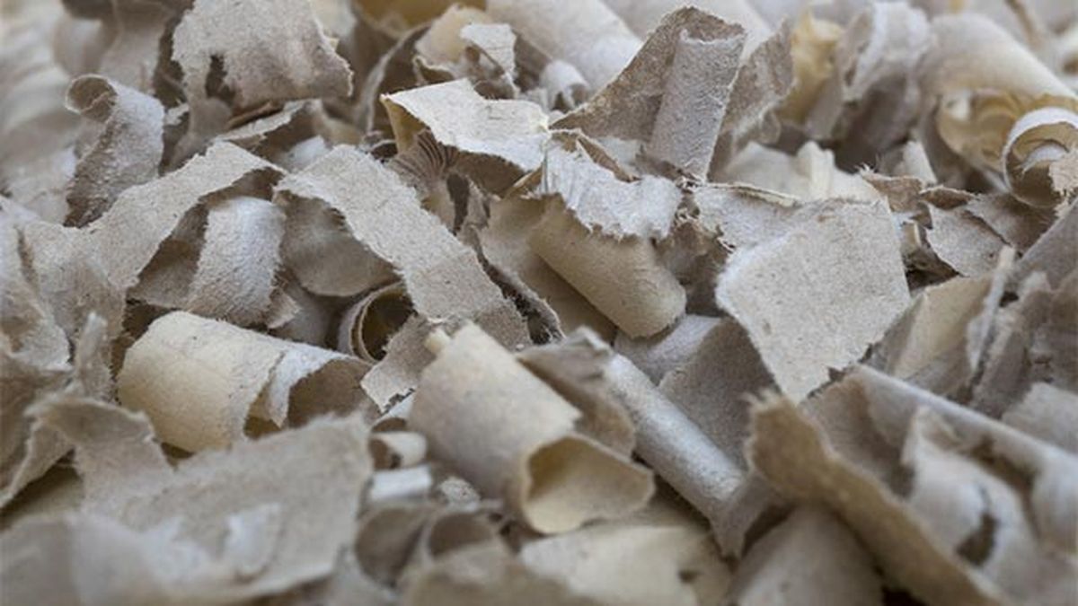 composrt controzos de carton