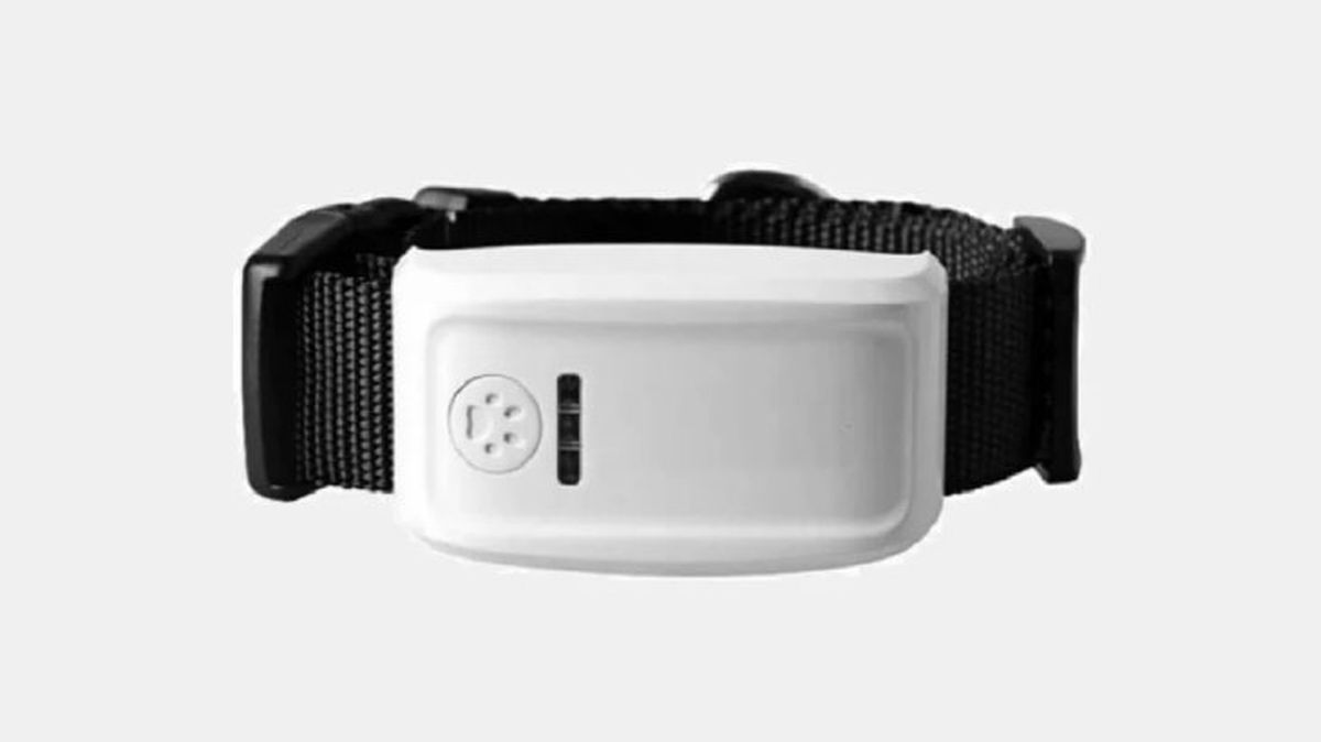 localizadores gps para perros modelo 2