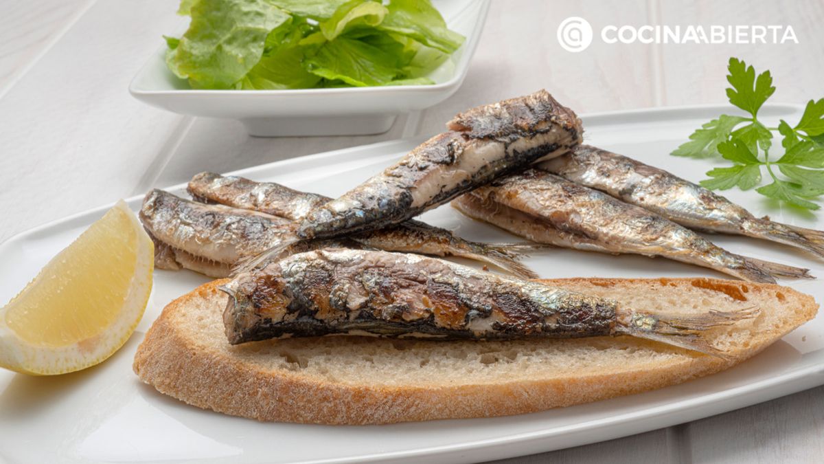 karl6799 sardinas plancha xl