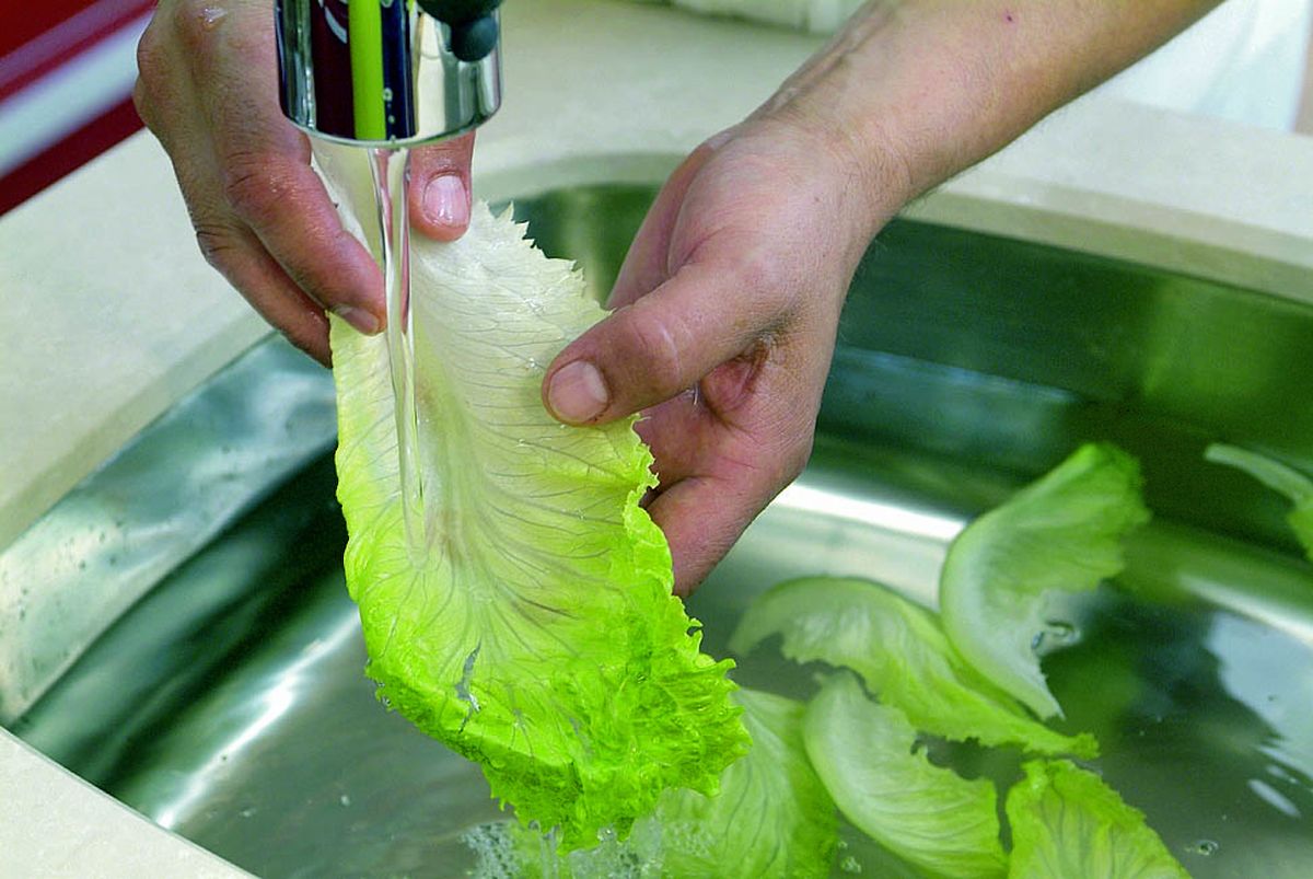 limpiar lechuga paso5