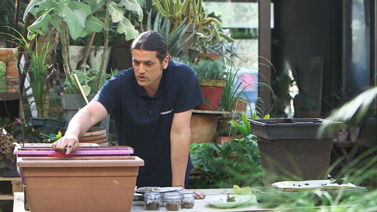 brico 1027 claves para hacer un buen semillero temperatura