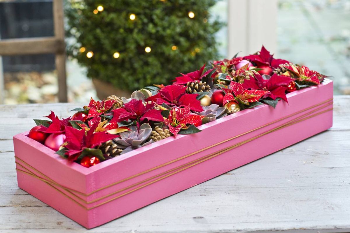 Centro de Navidad con plantas naturales hecho con una caja reciclada.