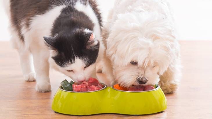 alimentacion mascotas dieta barf