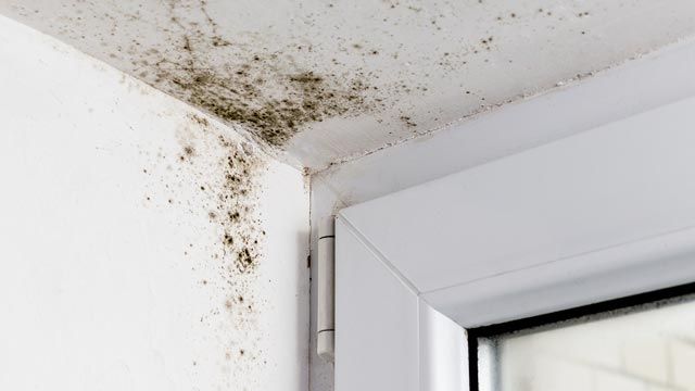 como eliminar la condensacion de las ventanas consejos