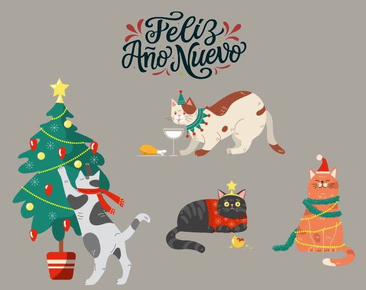 felicitacion año nuevo 2