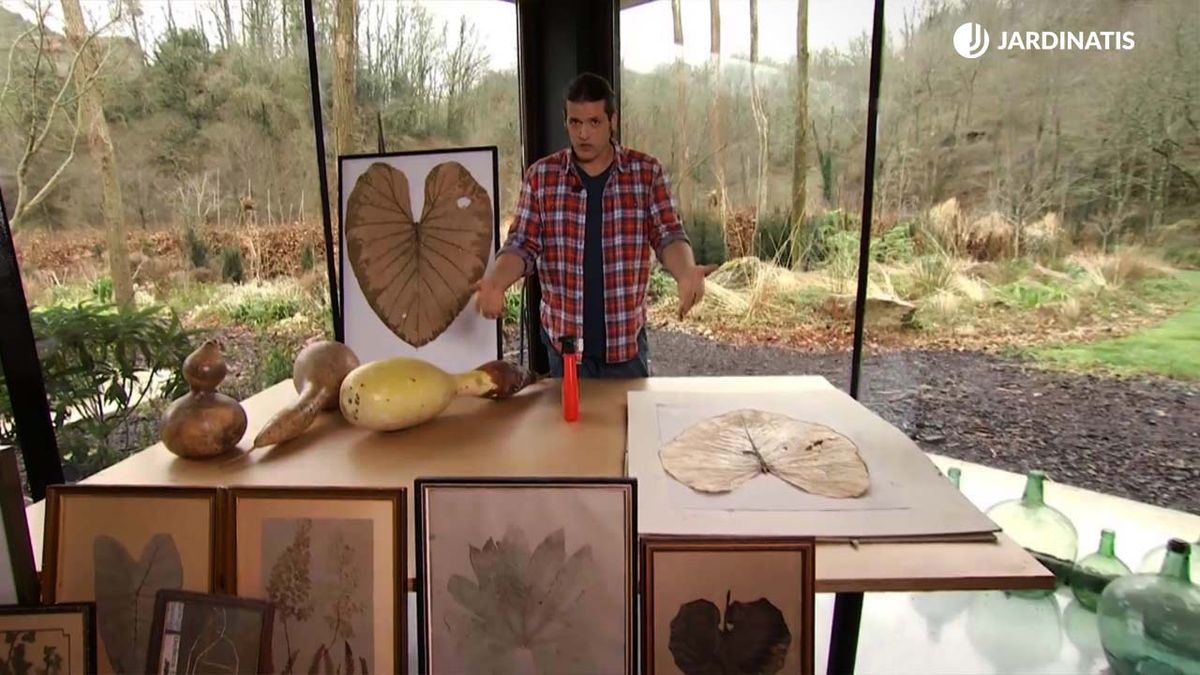 como prensar secar hojas deco 683 jardinatis