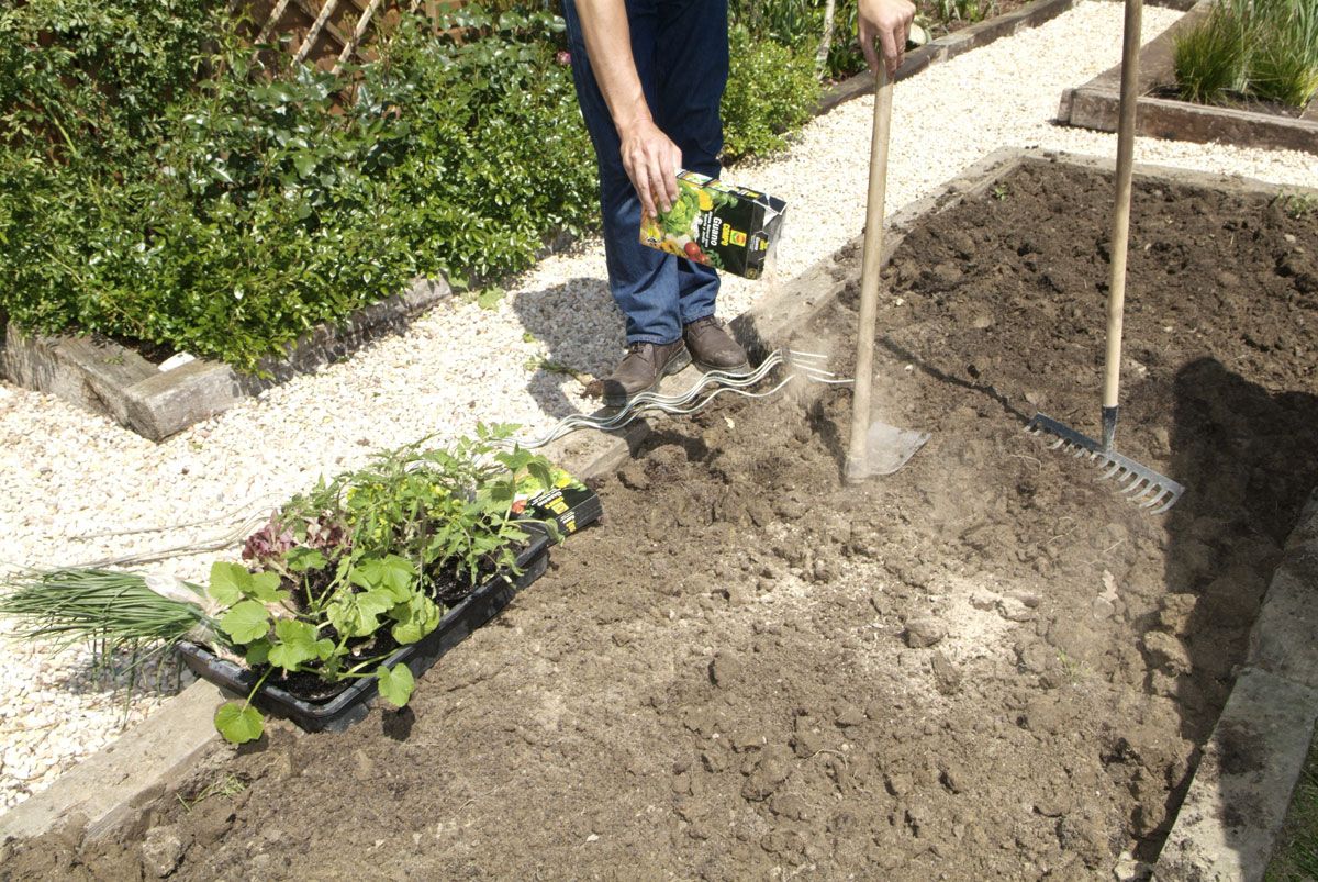 El huerto ornamental paso 1