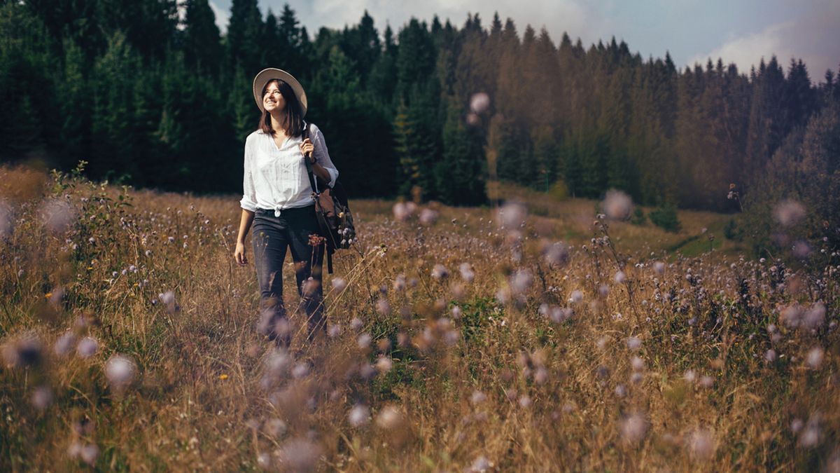pasear entre flores silvestres