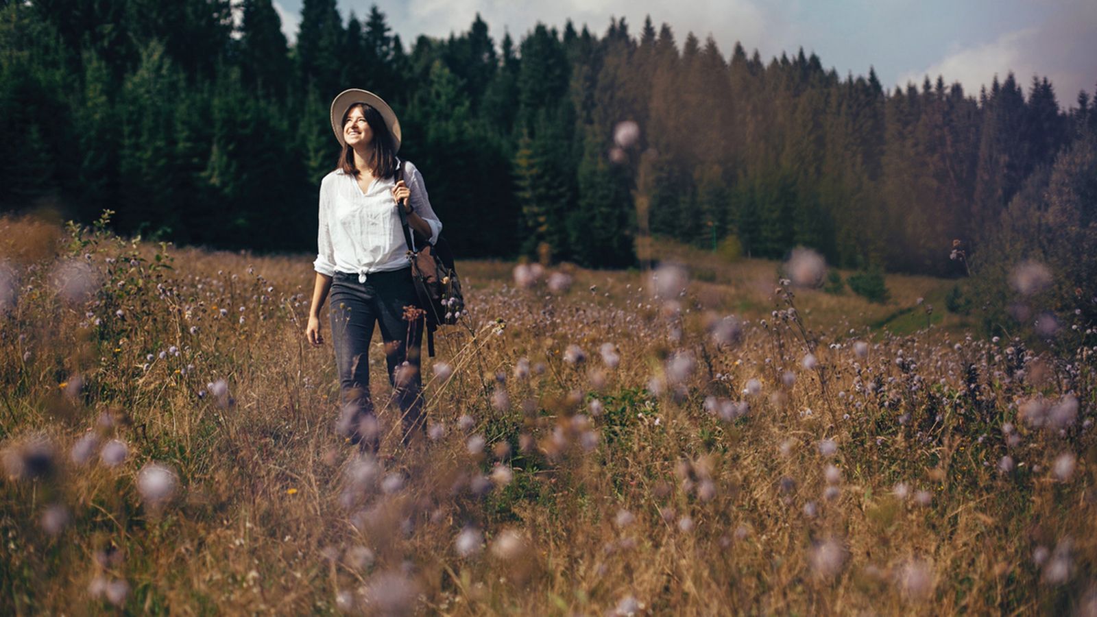 pasear entre flores silvestres