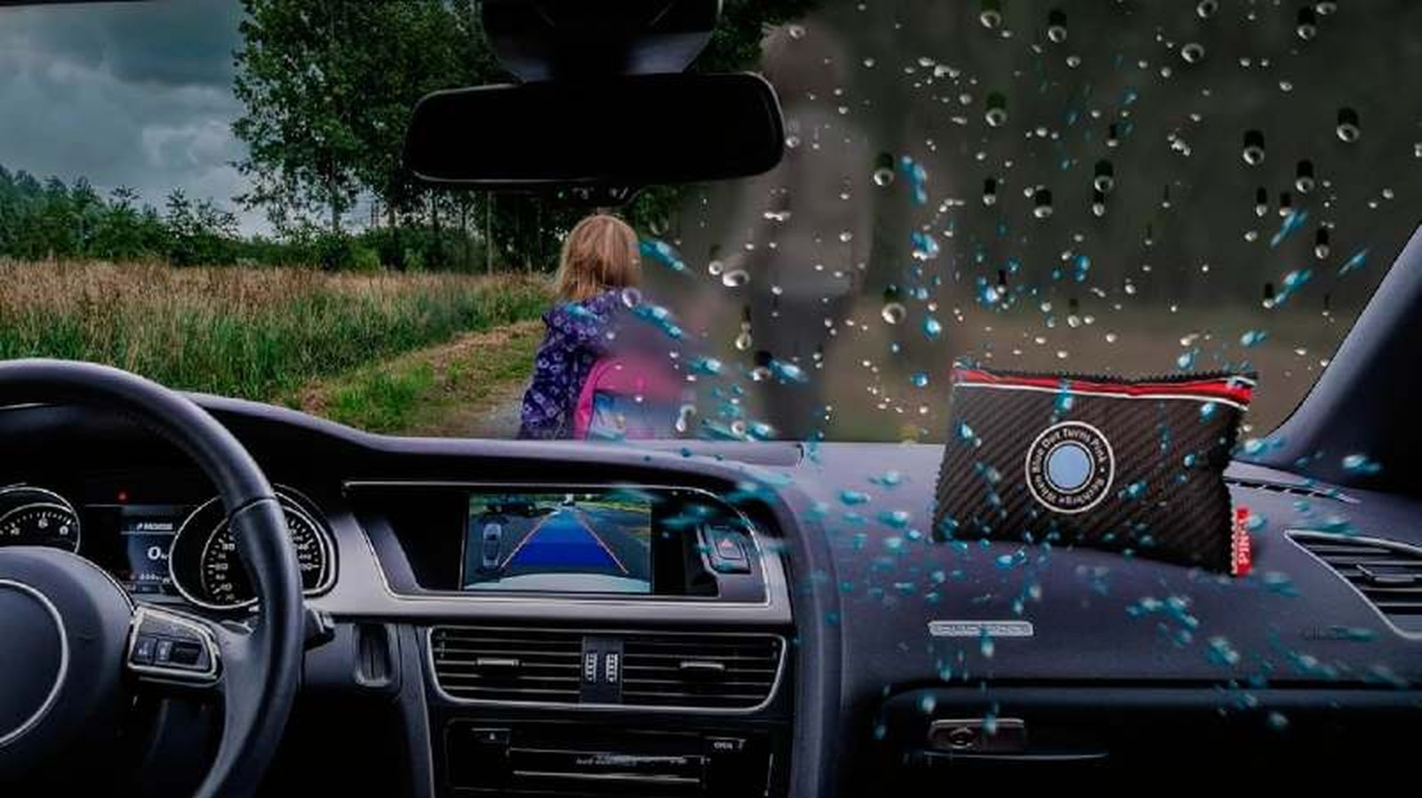 Deshumidificador PINGI en el coche