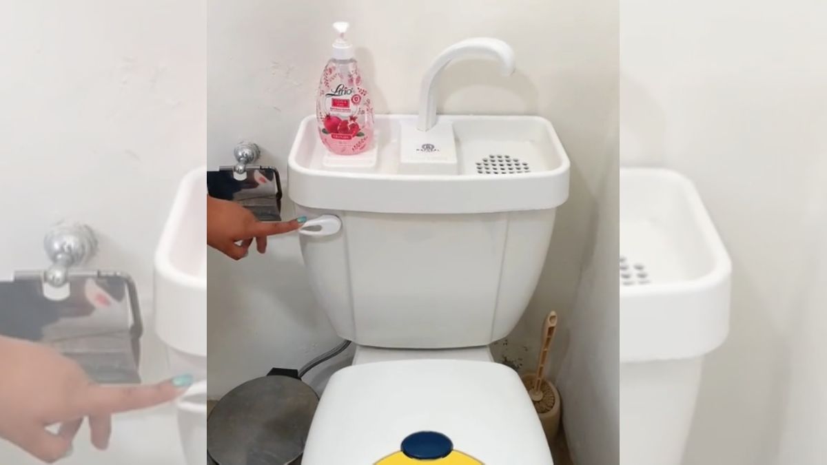 En la imagen, el lavabo y sanitario de doble uso / Imagen: TikTok