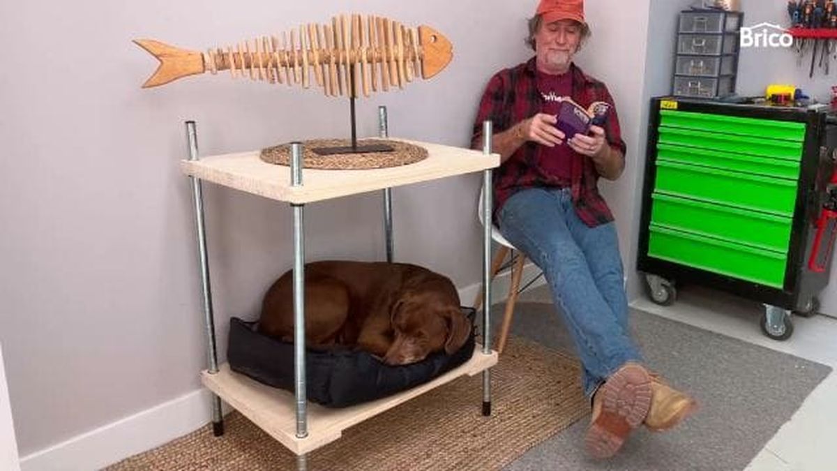 bricomania 57 mueble para perro paso 10