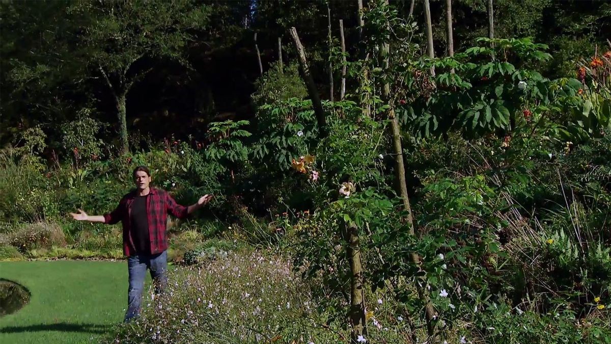 deco 625 otoño jardin