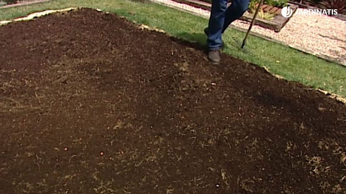 La resiembra es muy útil en jardines que han soportado el peso de estructuras