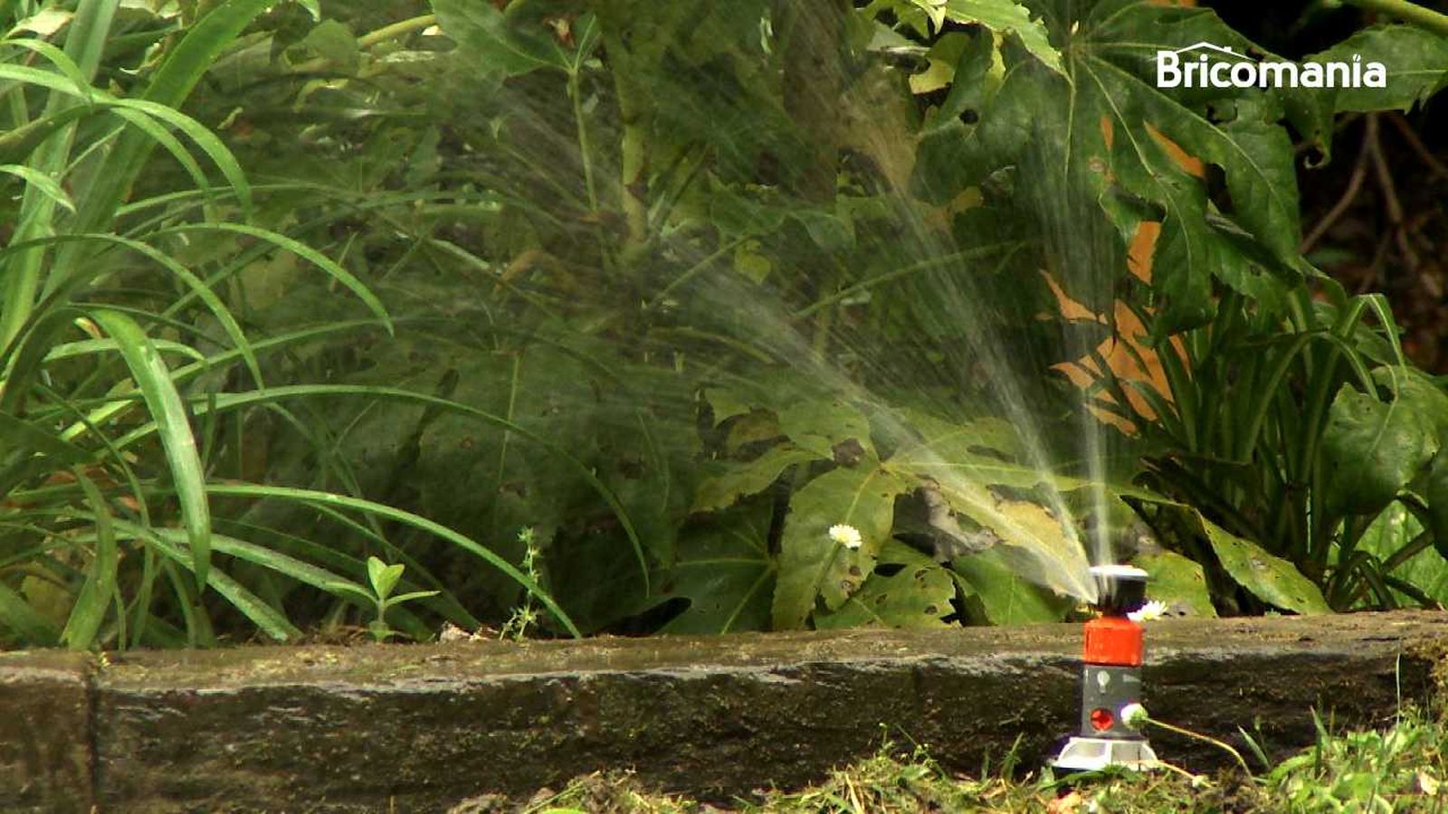 bricomania 790 instalar sistema de riego automatico xl