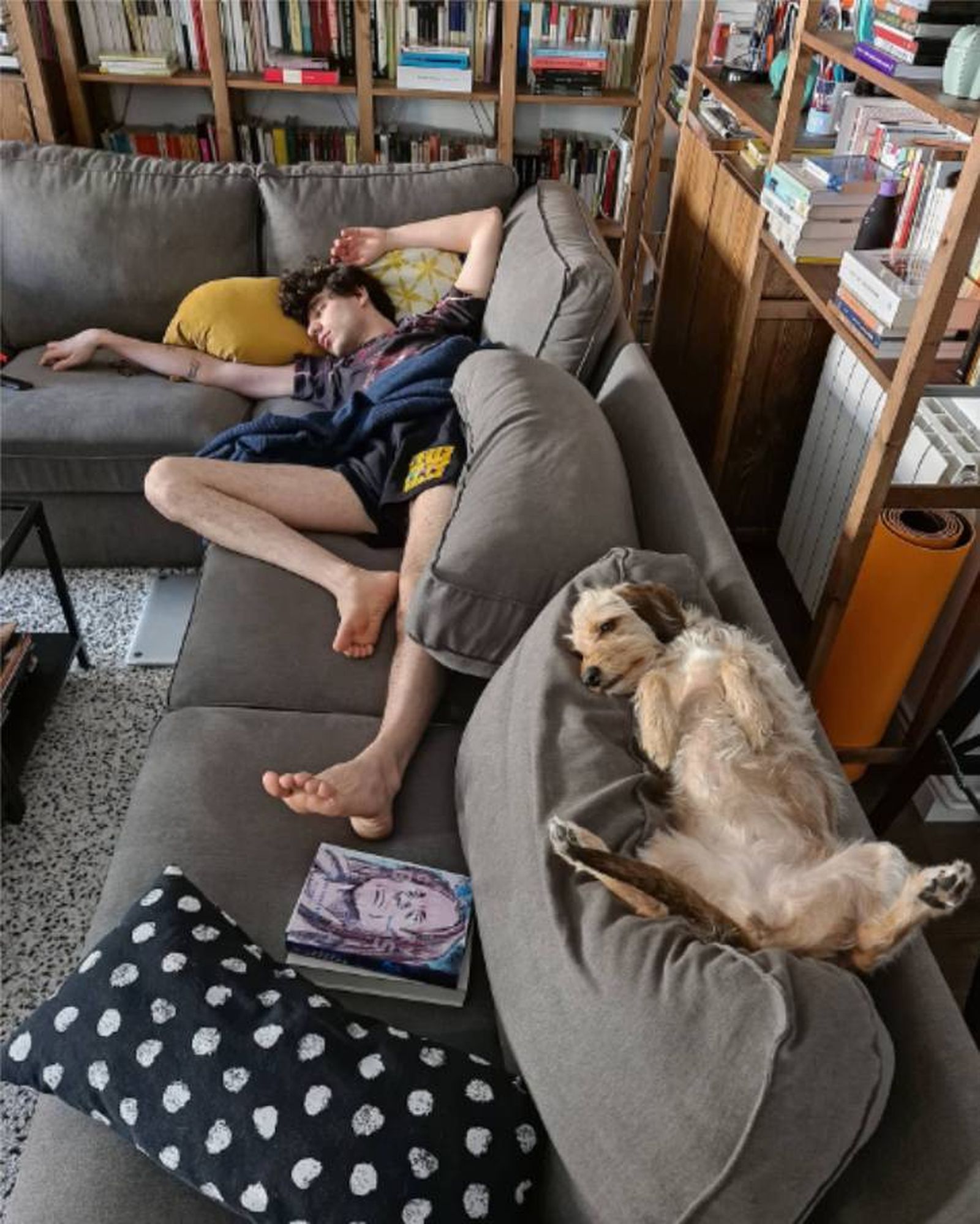 sofa casa javis