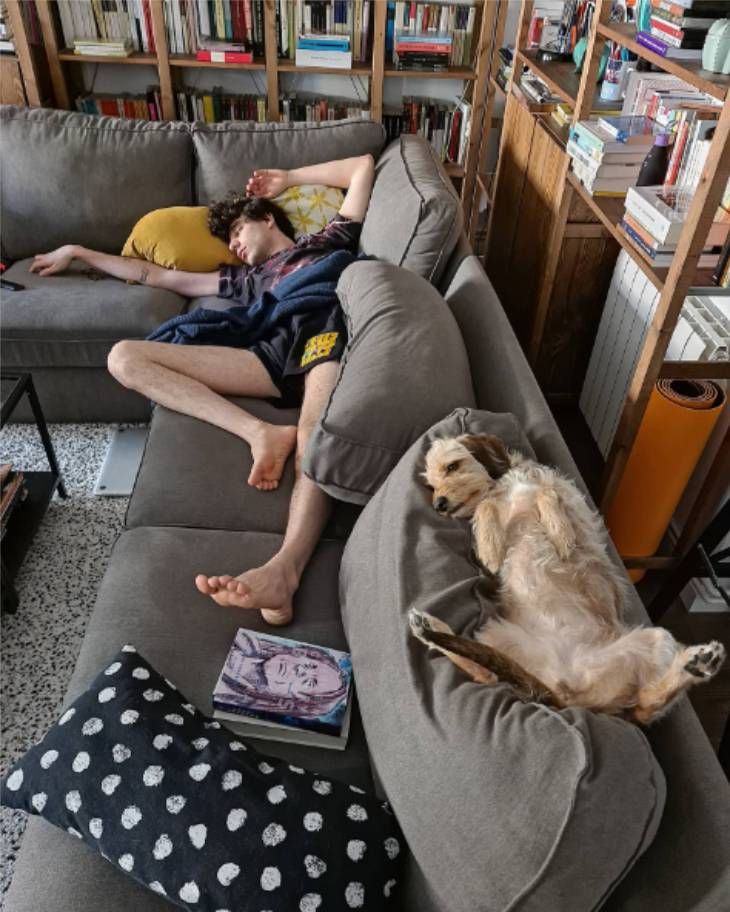 sofa casa javis