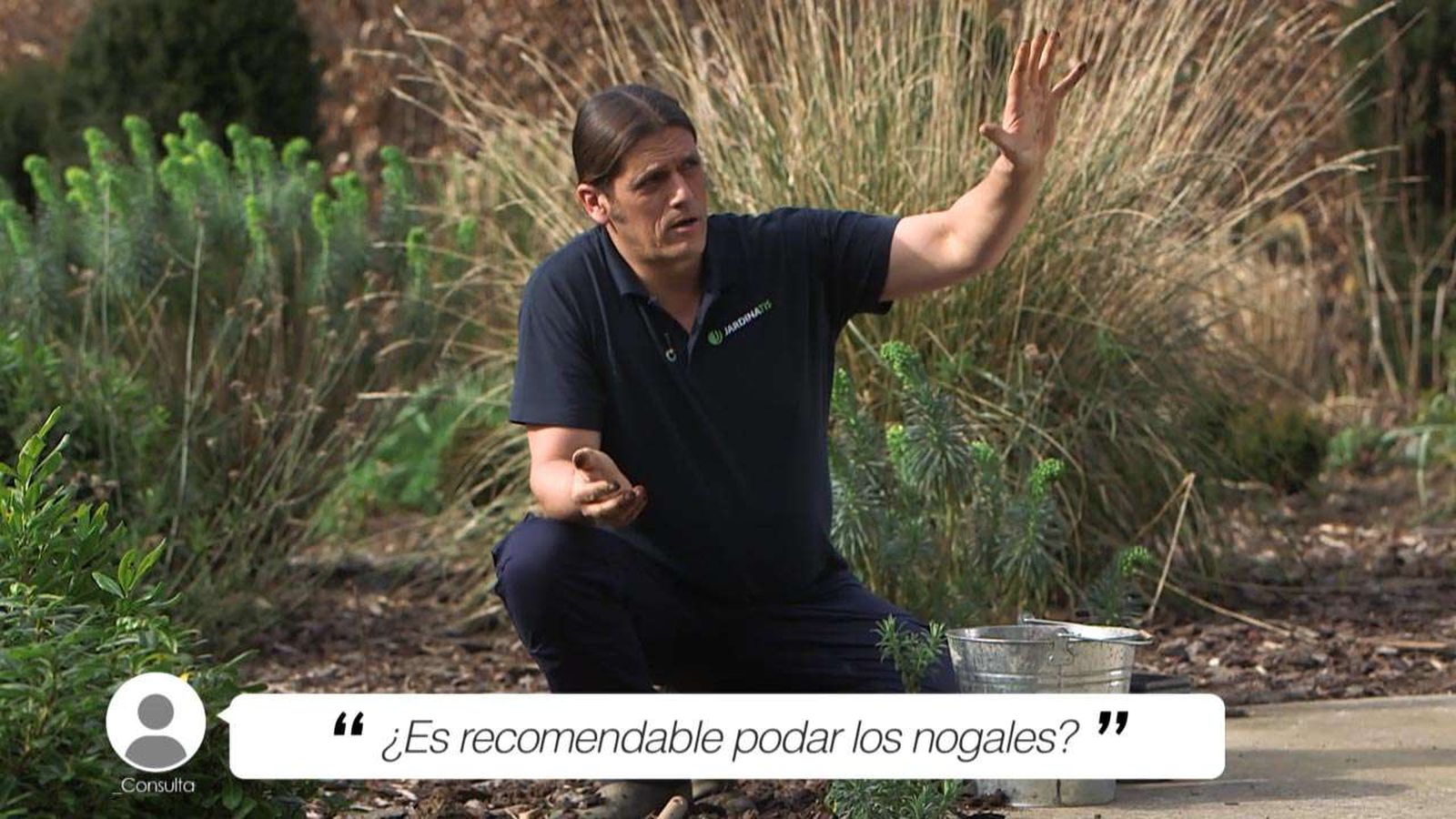 Existen muchas dudas sobre la poda del nogal