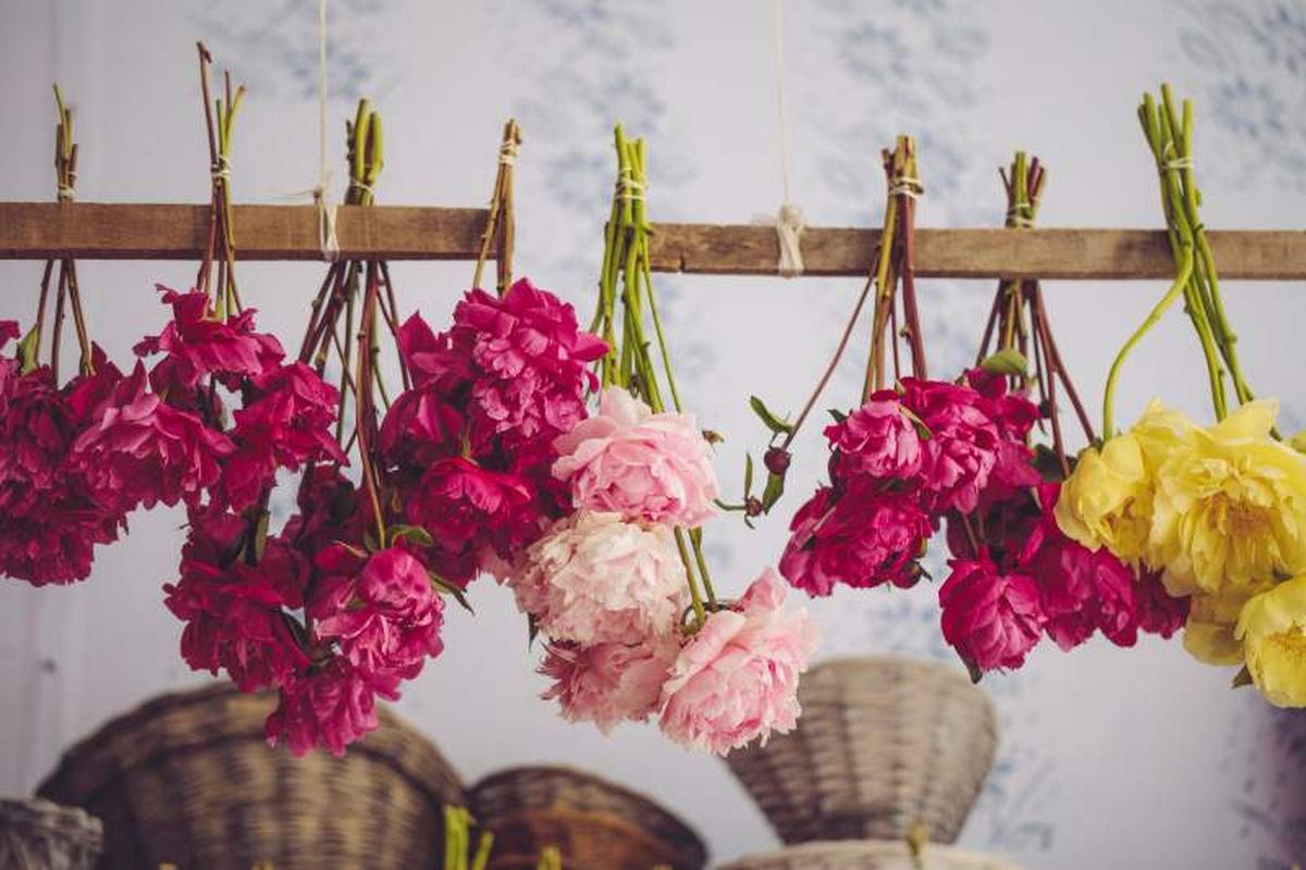Puedes secar tus flores favoritas para crear un popurrí delicioso