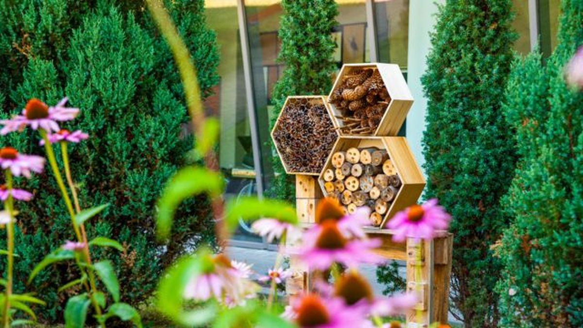 hotel para abejas en el jardin