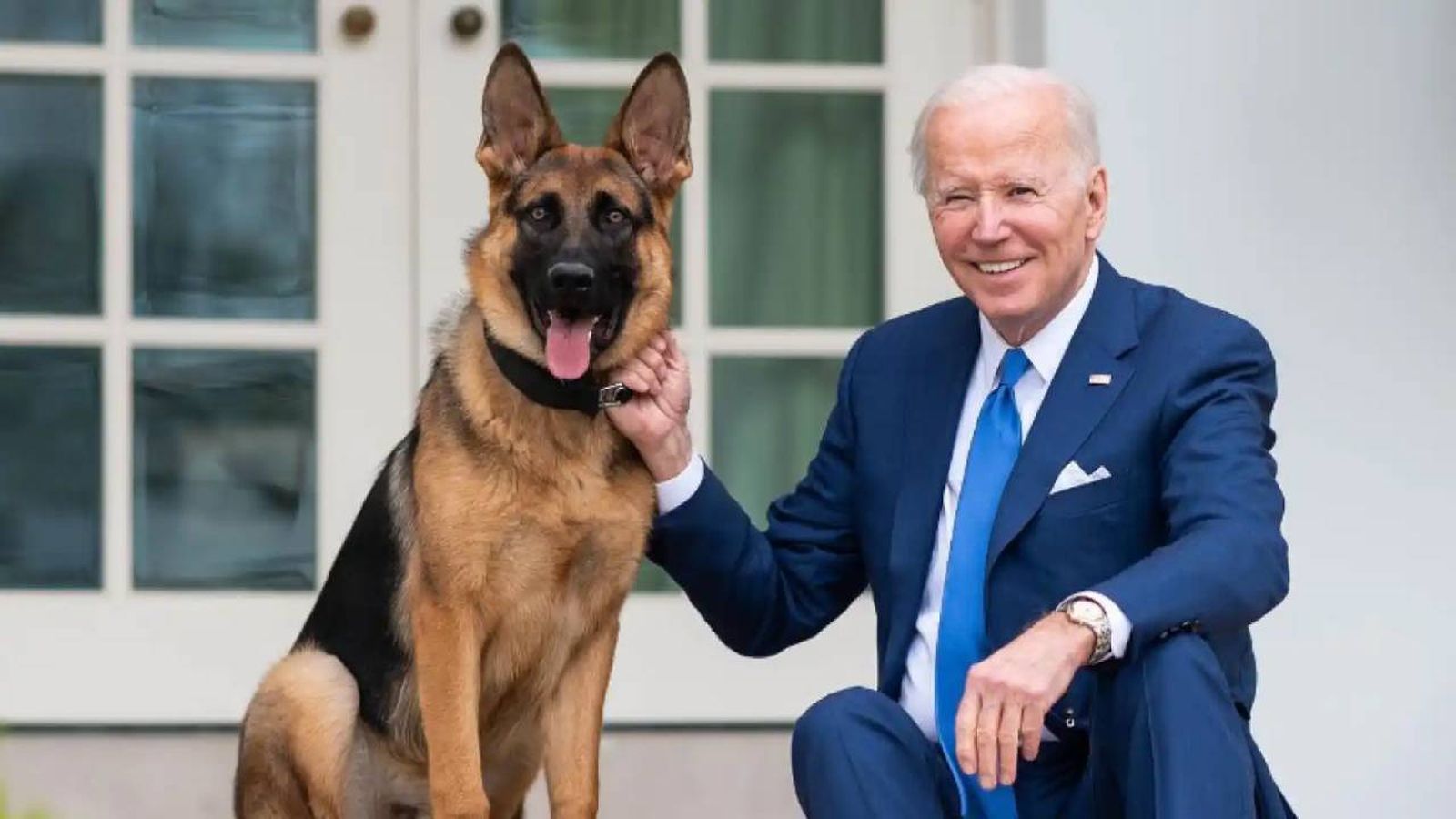 Major, Champ y Commander son las mascotas de Biden