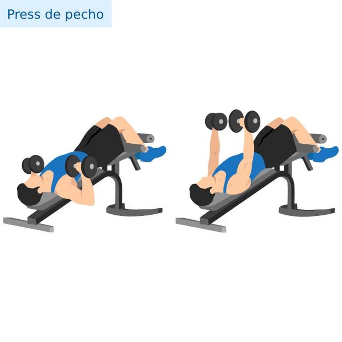 ejercicios para tonificar pecho con mancuerna press pecho