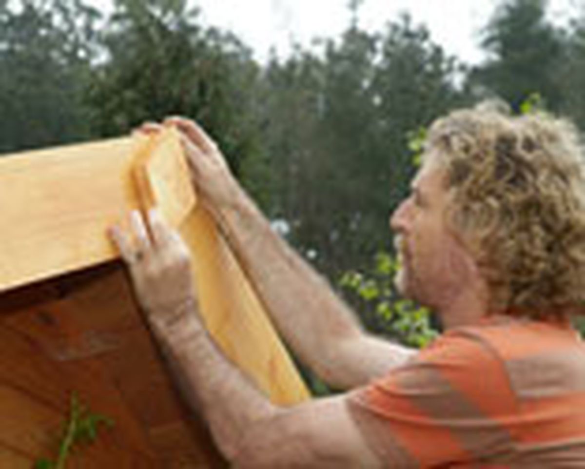 454 cub plac bitu p22