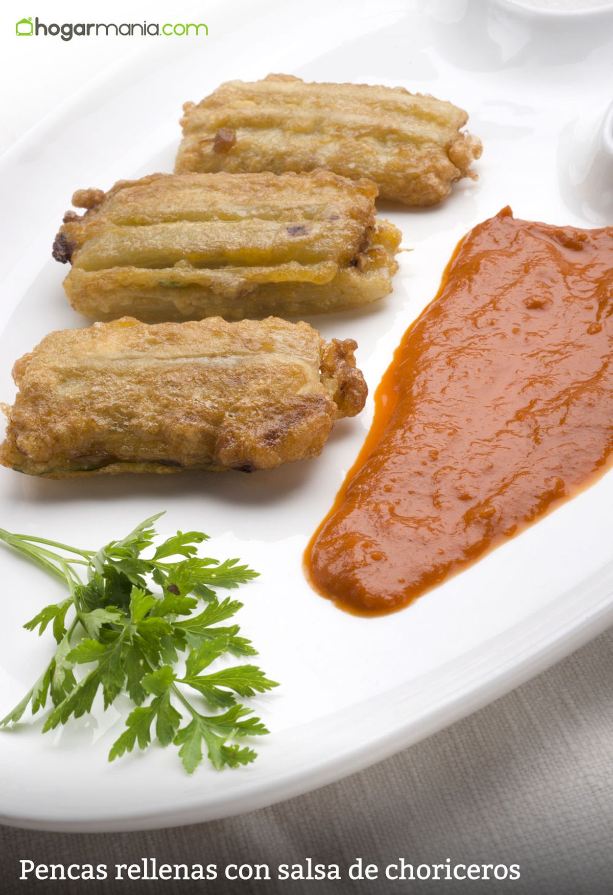 6045 1 Pencas rellenas con salsa de choriceros (1407) vertical xl