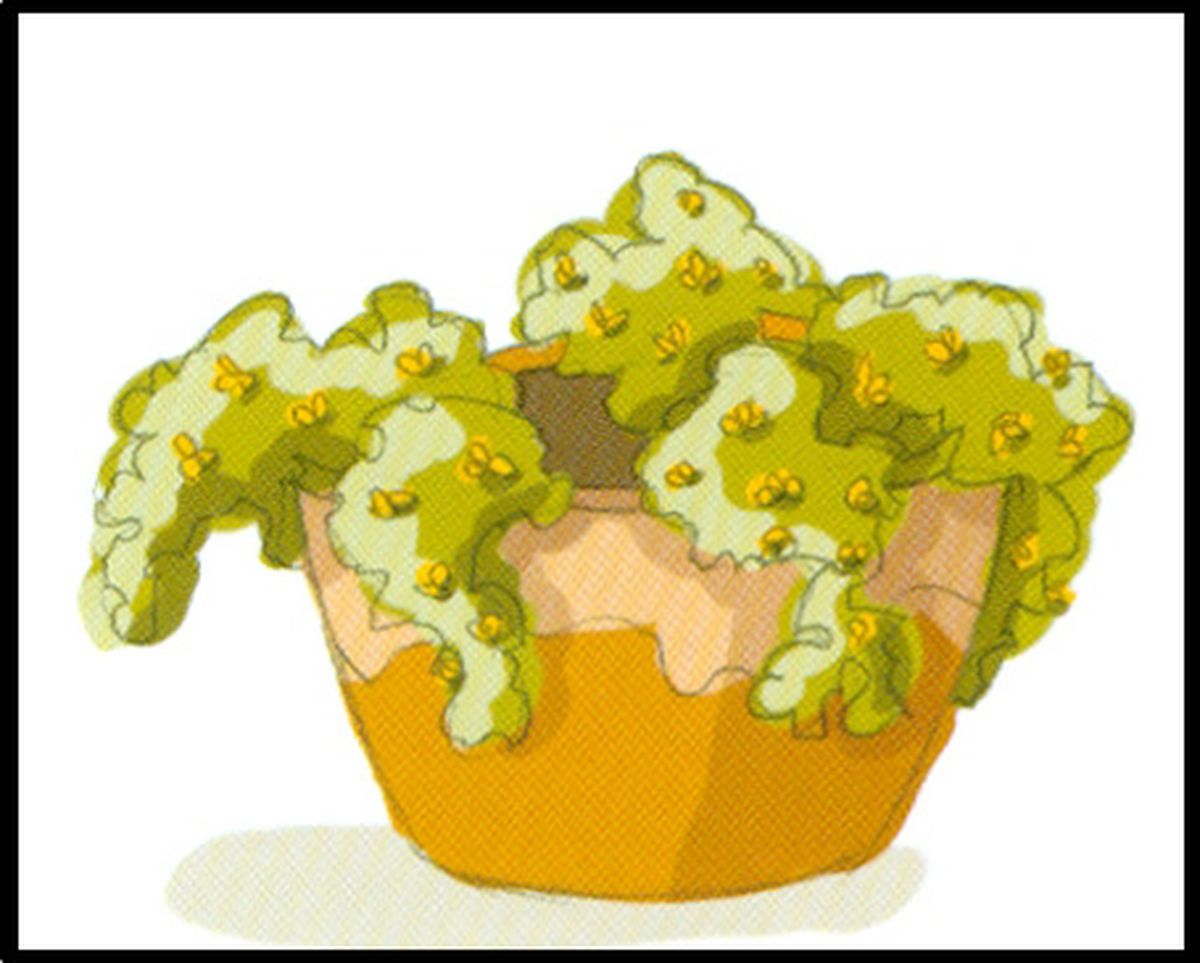 Esquema de plantación 2