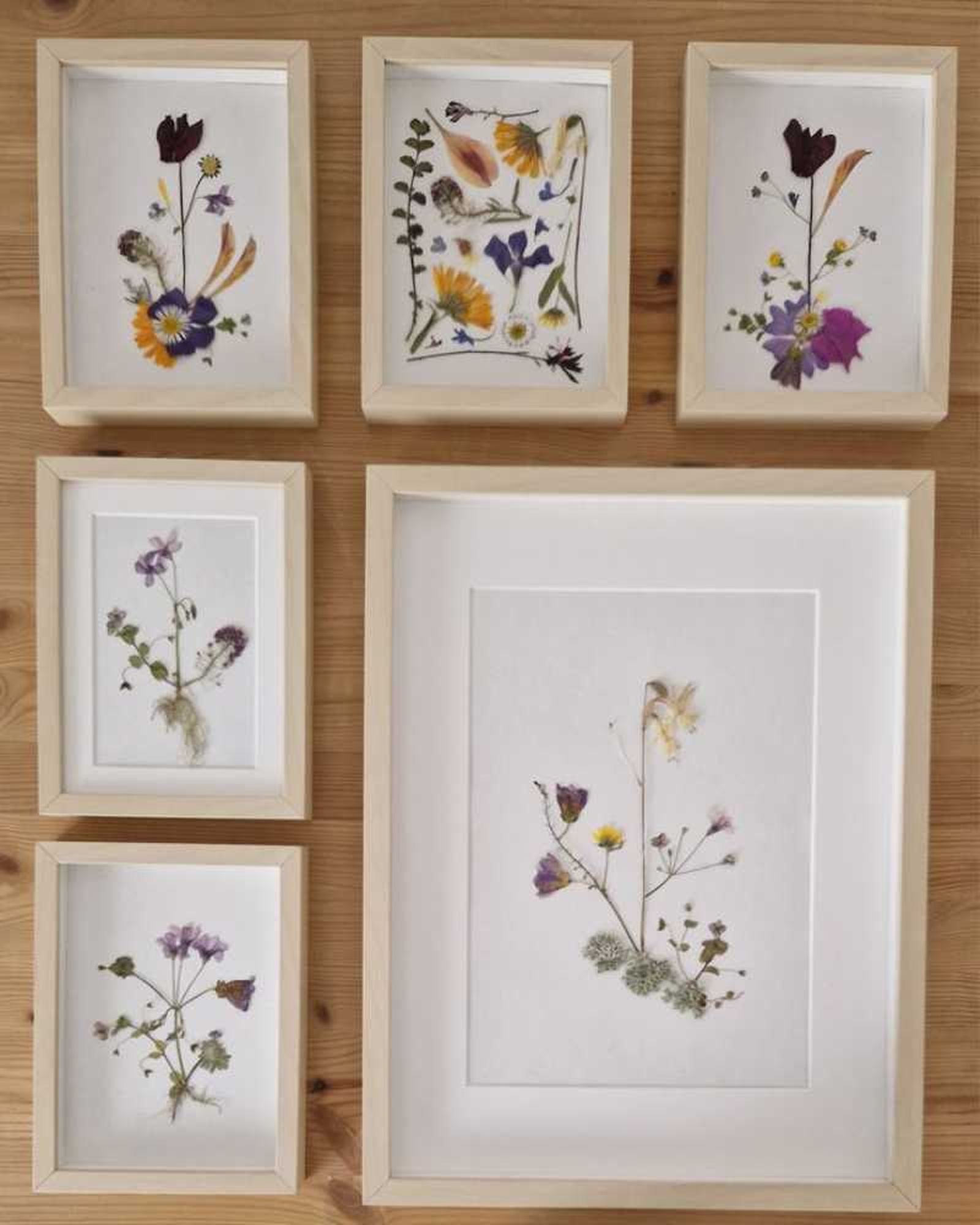 Cuadros con flores secas.