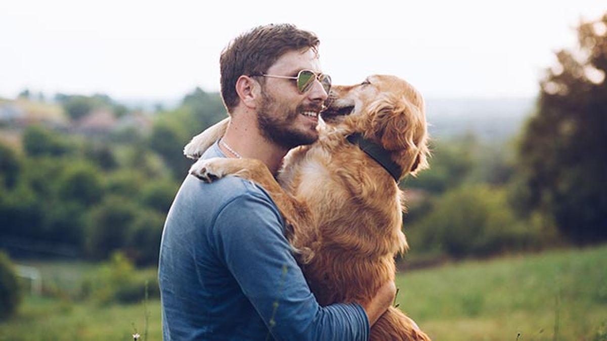 7 razones adoptar perro 2