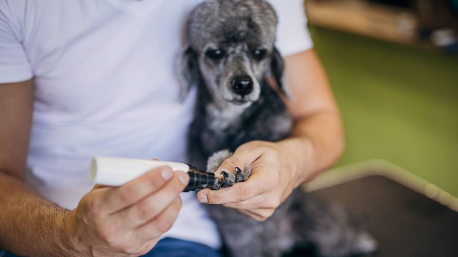 limas de unas electricas para perros y gatos
