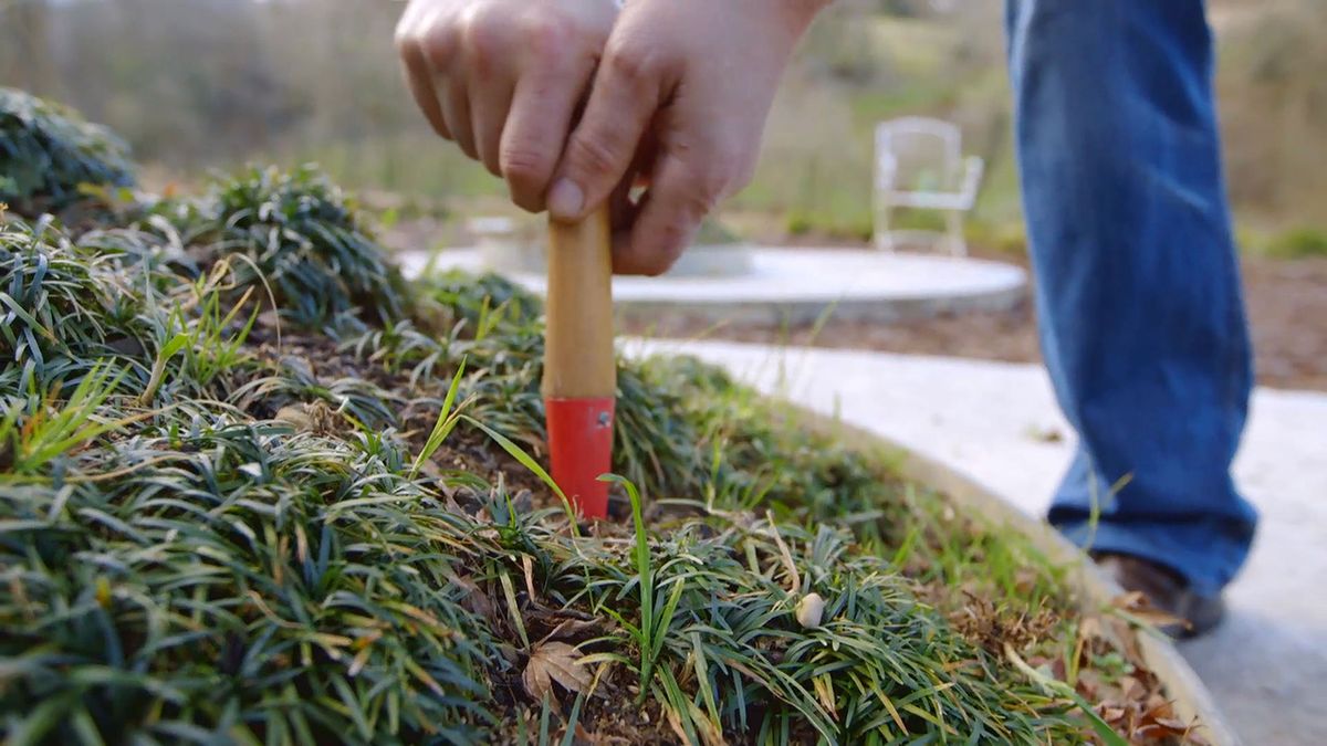 brico 0901 3 abonar arboles arbustos invierno paso 1